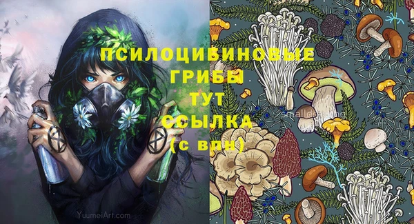 дурь Верея