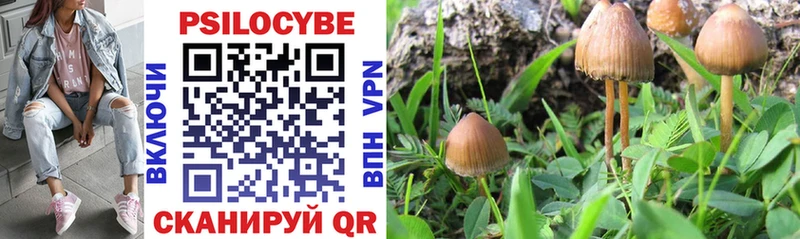 Галлюциногенные грибы Psilocybine cubensis  Вяземский 